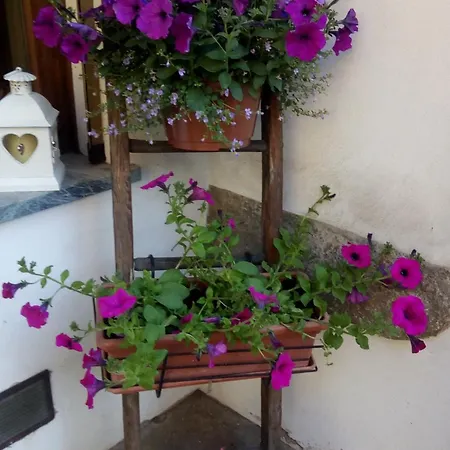 住宿加早餐酒店 Chez Annie